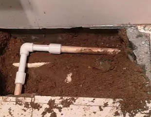 莱山测漏水哪家好